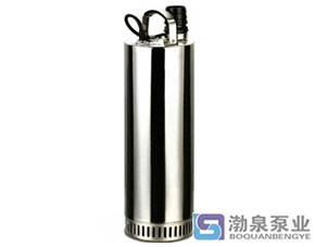 不銹鋼環(huán)保凈化泵、高揚(yáng)程潛水泵